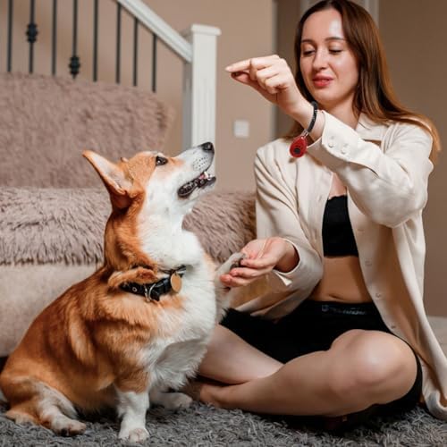 32 Pack Dog Training Clicker Bulk — bottom and base construction detail