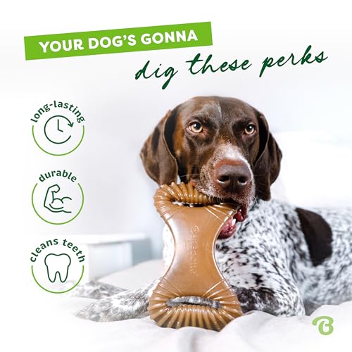Image of Benebone Dental Durable Dog Chew Toy for Aggressive Chewers, Real Bacon, Made in USA, Small