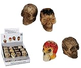 Cigarrillos extintor en forma de calavera