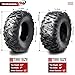 WANDA Set of 4 ATV Tires 23x7-10 Front & 22x10-10 Rear Big Horn Style