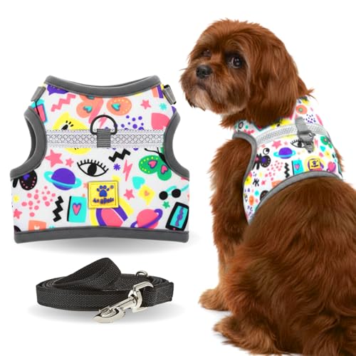 Image of A+a Pets' Retro Vest Harness & Leash Set | No Pull, No Escape, Breathable, Cute Combo for Puppies, Small Dogs, Cats (Comic, L)