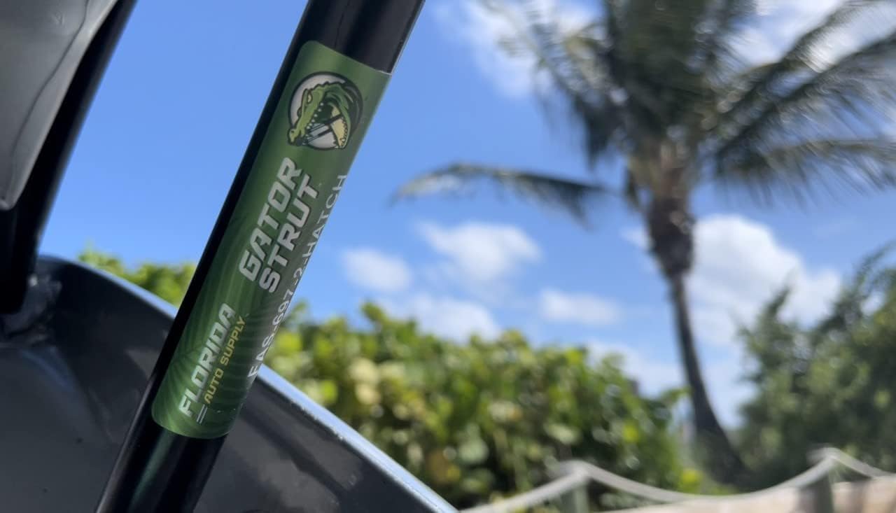 2 Trunk Lift Supports, Compatible with: 2005-2010 Pontiac G6 Sedan, 2006-2009 Pontiac G6 Coupe,2007-2009 Saturn Aura - Gas Spring by Florida Auto: FAS-560-2