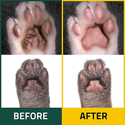 Breezytail Peto'cera Waterless Cat Shampoo | Cat Dry Shampoo | No Rinse Foam Wash For Cat | Shorten Bath Time For Cats | Feline Skin & Coat Care | Safe & Easy To Use | 5.07Oz #TOP5