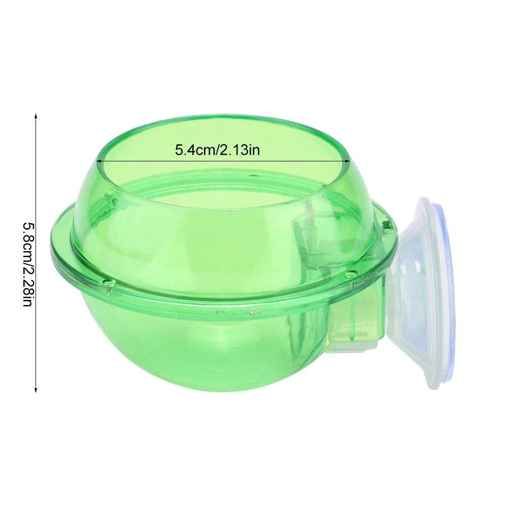 Futterbox Für Reptilien - Transparente Acryl Box Mit Saugnäpfen Für Terrarium