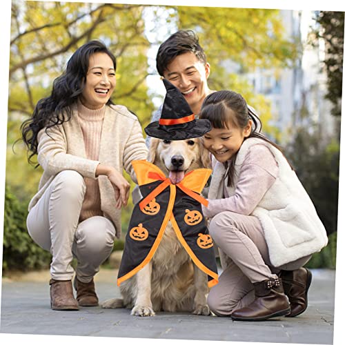 Disfraz Halloween para perros y gatos capa y sombrero miniatura 3