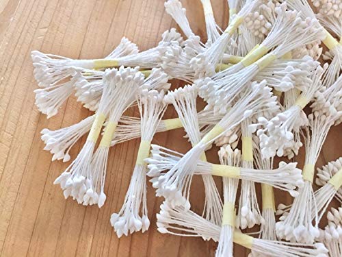 Thai Decorated 1200pcs White Cream Stamen Flower, Artificial Pearlized Floral Stamen Flower Making 6cm. Pearl Double Heads Flower Stamen (Cream Color)