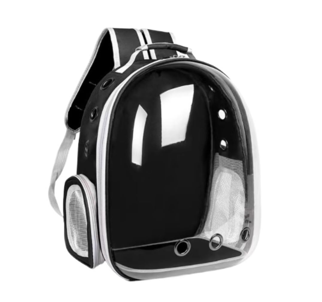Transportin Gato Mochila para Mascotas, Bolso De Mano, Bolso De Hombro Transparente, Bolso Portátil, Malla Transpirable Trasportines Gato (Color : B, Size : 31 * 28 * 42cm)