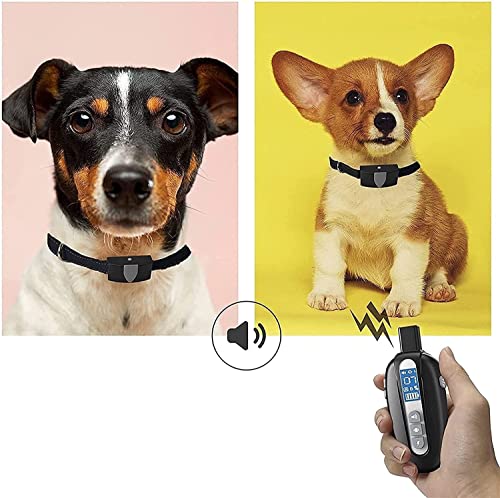 Training Tips for Dog Collar