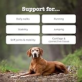 Zesty Paws Hip & Joint Chews for Dogs | Supports Joint Flexibility, Mobility, Healthy Cartilage & Helps Soothe Stiff Joints | With Glucosamine, Chondroitin, Green-Lipped Mussel | Daily Use | 60 Chews - Image 2