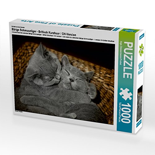 CALVENDO Puzzle 'Bärige Schmusetiger' – 1000 Teile, 64 X 48 Cm, Hochwertiges Foto-Puzzle