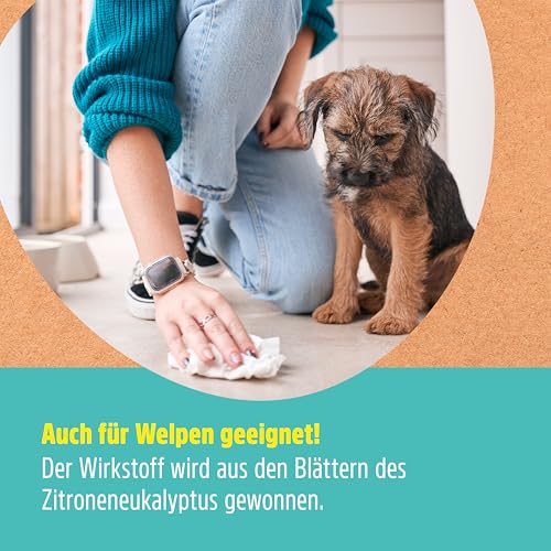 Green Hero Hunde & Katzen Stopp 500ml gegen Urinieren | Hundeschreck, Katzen Schreck Spray auch als Kratz- & Knabberschutz | Hundeabwehrspray Innen- & Außenanwendung | Mit Eukalyptus Citriodora Öl