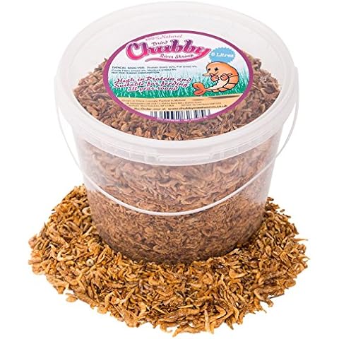 Chubby Dried River Shrimp for Aquatic Pets Cover