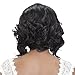 Vivica A Fox Hair Collection Tori New Futura Synthetic Fiber Full Lace Front Wig, FS4/30, 10 Ounce