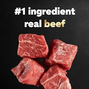 CESAR Adult Small Breed Dry Dog Food Filet Mignon Flavor with Spring Vegetables Garnish 5 lb Bag