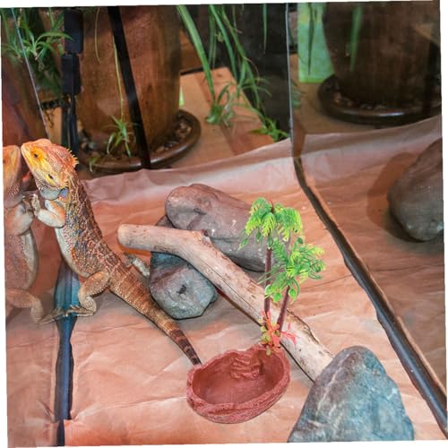 MUELODSIC 2個 爬虫類用水盆 自然風デザインで食べこぼし防止 トカゲ カメ コオロギに 素材 お手入れ簡単なテラリウム用給餌器