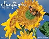 Sunflowers 2015 Wall Calendar