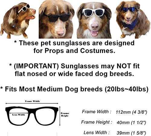 G006 Dog Pet 80s Costume Sunglasses Prop Photoshoot Medium Breeds 20-40 lbs (Black) - Image 3