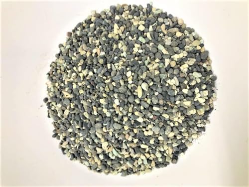 V鍻i鍻j 1 10kg pꍻ