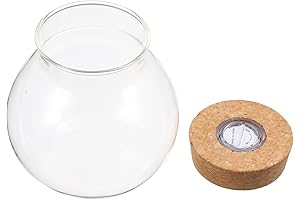 NUOBESTY Small Glass Terrarium with Marimo Moss Ball