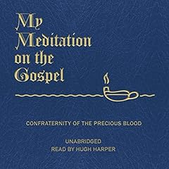 My Meditation on the Gospel Audiolibro Por Fr. James E. Sullivan arte de portada