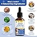 Yeast Infection Treatment for Dog, Natural Dog Yeast Infection Relief for Itchy Skin & Ear - Allergy & Paw Itching, Soothes Irritation & Reduces Inflammation Herbal Dog Supplement Drops