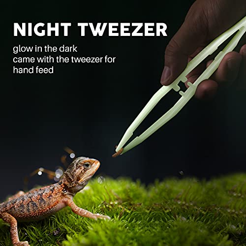 2 Pack Reptile Water Food Dish 1 Feeding Tongs,Tank Accessories for