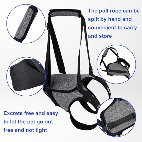 Tragehilfe Hund Hundehebegeschirr Tragegeschirr Hundeschlinge: Hundestützgeschirr Für Die Hinterbeine Mit Handgriff, Verstellbare Gehhilfe Für Verletzte Behinderte Kleine Mittlere Große Hunde (L)