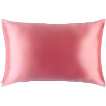 SLIP Silk Queen Pillowcase, Blush - The Slipsilk Difference Highest Grade Pure 22 Momme Mulberry Pillowcase Zippered Anti Aging, Sleep Crease, Bed Head + Acne, Queen 20 x 30 Inch