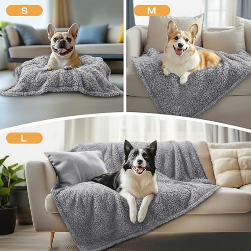 Image of Luciphia 1 Pack 3 Calming Dog Blanket Fluffy Premium Fleece Pet Blankets Soft Sherpa Throw for Dogs Puppy Cat Grey /Beige /HazeBlue Small (23 inch x16 inch)