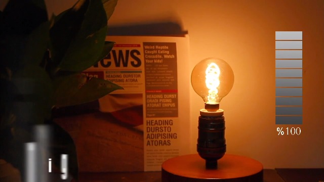 GlobePod ver.1 AIOT! Amber Globe ホヤ フクロ Playshifu Orboot Earth Globe — Toycra