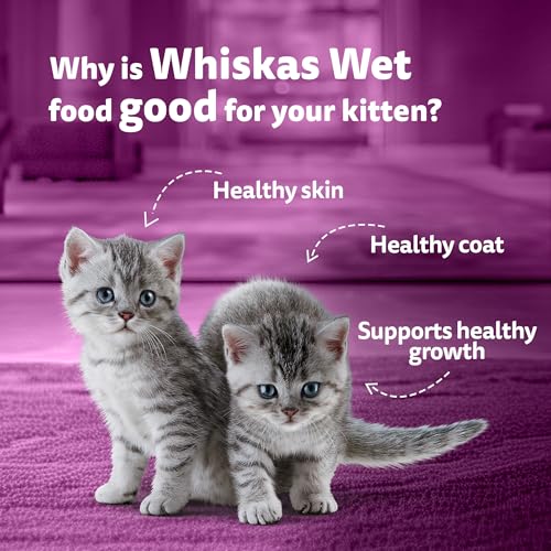 Image of Whiskas Junior Kitten (2-12 Months) Wet Cat Food, Mackeral Flavour, 80 g, 100% Complete & Balanced Nutrition, Supports Healthy Immune System (Pack of 7)
