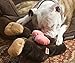Silly Bums Baboon Bum Plush Dog Toy, Large