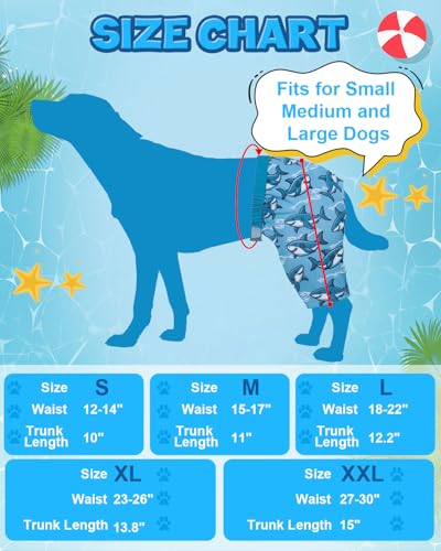 Image of CuteBone Dog Swim Trunks Swimsuit Durable & Comfortable - Quick-Dry, Adjustable Waistband Shorts, UV Protection Bikini- Perfect for Beach, Pool & Outdoor Fun, Dinos DST14L