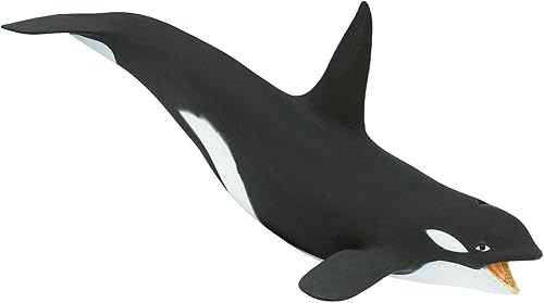 Safari Ltd. Figura de ballena asesina (Orca) – Figura detallada de modelo de plástico de 7 pulgadas – Divertido juguete educativo para niños, niñas