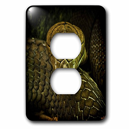 Cobra serpent vert déco murale plastique rigide lsp_55966_6