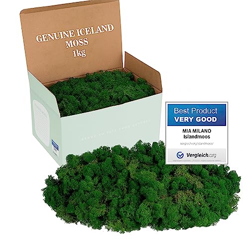 Mia Milano Decoración de Musgo Real, Musgo Decorativo preservado para Manualidades, Musgo Natural Duradero para Cuadros de Cuna y Musgo, Musgo de Placa Reutilizable. (Verde Oscuro, 1kg)