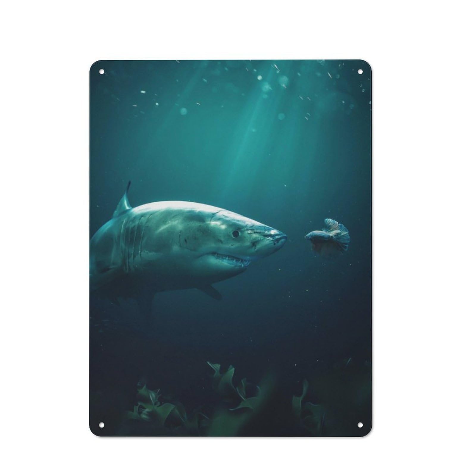 Junmoney Shark Meets Betta Tin Wall Plaque 40X30cm With For Hallway Wall, For Home Interiors, Feature Walls And Decorative Displays