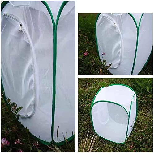 Amazon | Reekey 60x60x90cm 昆虫ケージ 通気性 ネット 繁殖