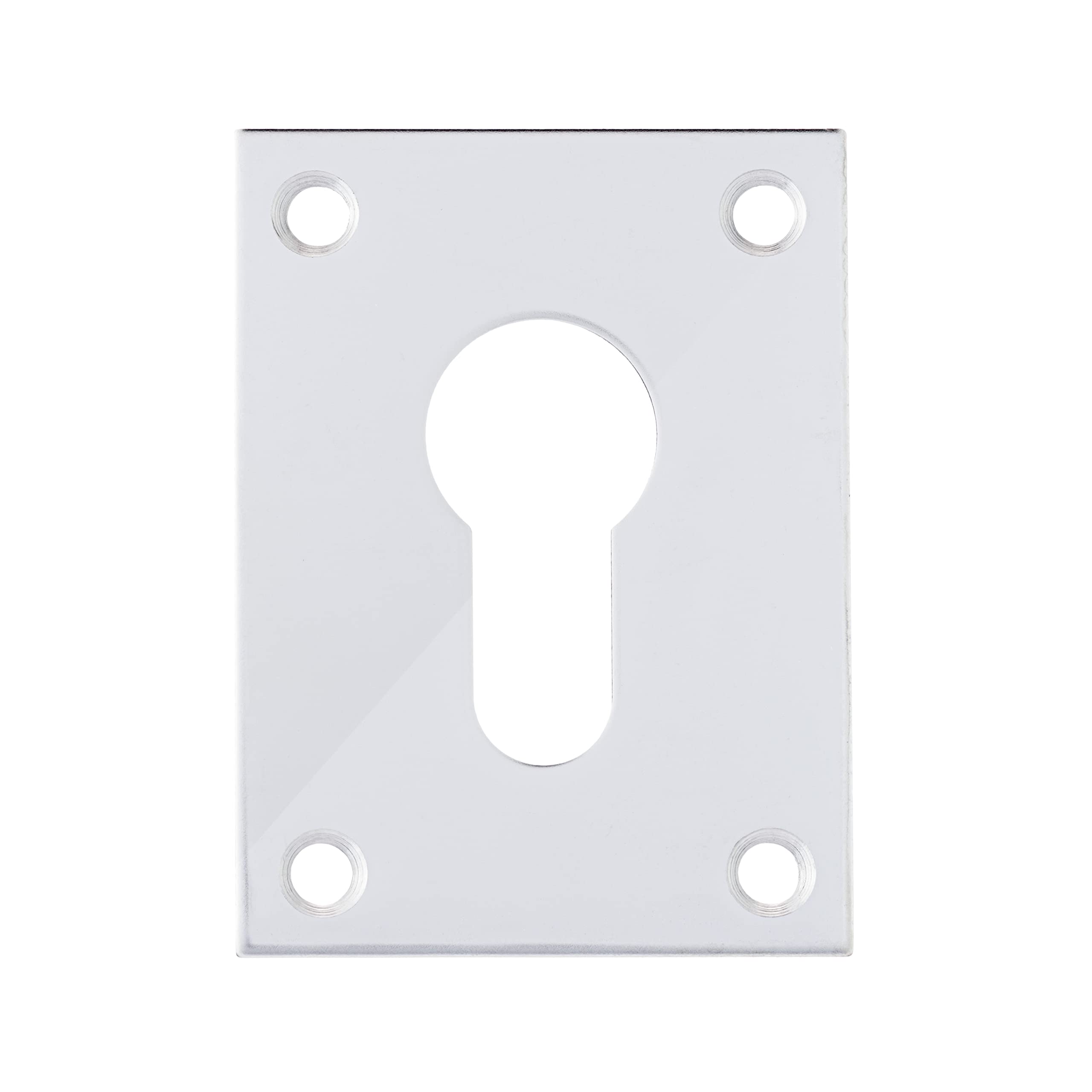 Bary Polished Stainless Steel Flat Plate Screw On Escutcheon Euro - Keyway - Blank (Euro)