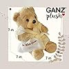 Get Well Soon Teddy Bear | Feel Better Gifts for Women, Men, Kids, Boys & Girls | Plush Bear for Recovery, Hospital Stay, Surgery Get Well Gift | Cream Robe #5