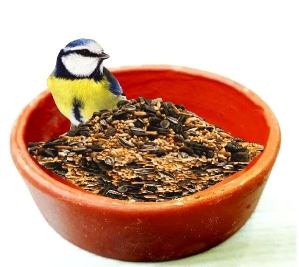 Image of ZENRISE Clay Bird Water Feeder Pot, Bath tub for Birds in Balcony and Garden- 15cm, 1 Piece