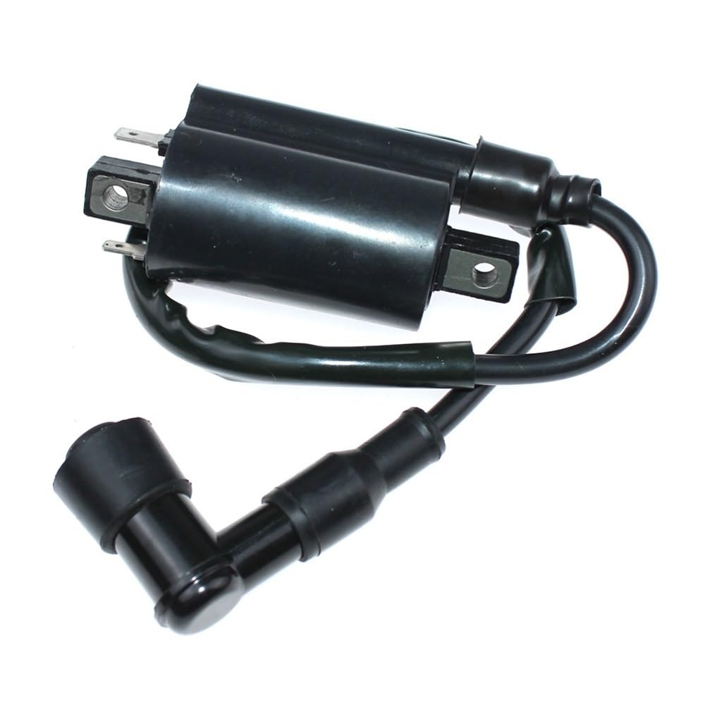 Bobine d'allumage etanche haute conductivite pour DR125SE DR200SE