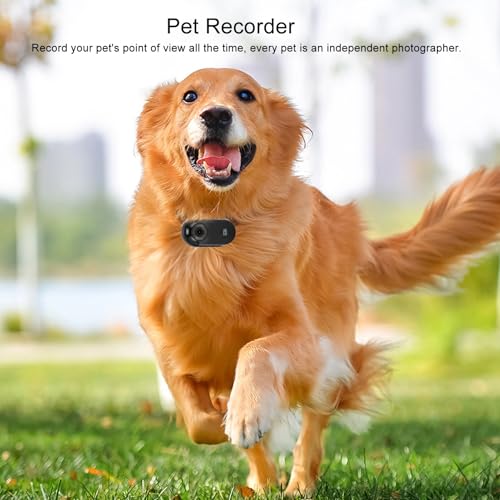 Image of Gugxiom Cat Collar Camera, 1080P HD 2.4G Dog POV Collar Pet Wearable Body Camera with APP, for Pets Cats Dogs (Black)