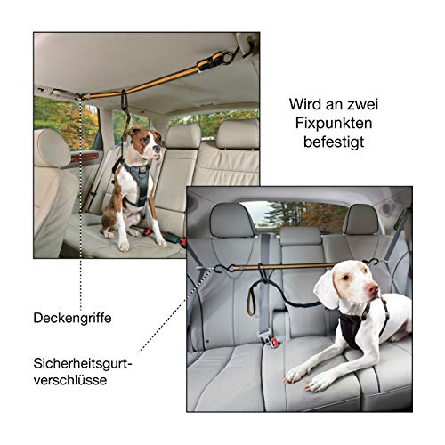 Hunde Sicherheitsgurt Kurgo für Autos – Sicheres Fahren mit Hunden