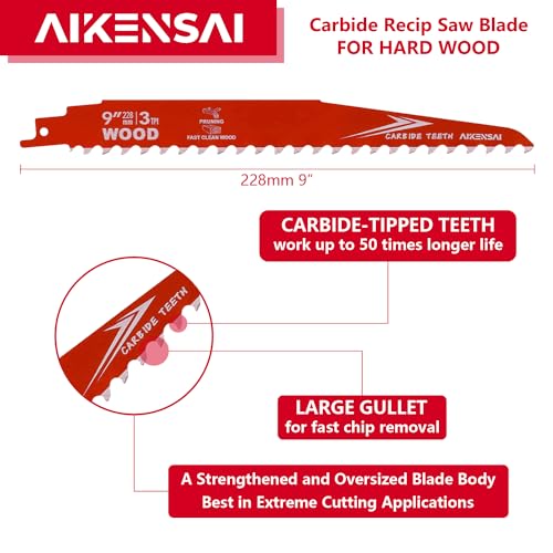 AIKENSAI 9