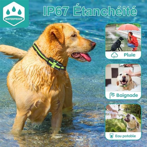 Tableau des forces et compromis du collier de dressage