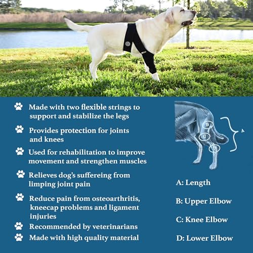 Image of Large Breathable Dog Knee Brace for Torn ACL Legs - Easy to Use, Neoprene Dog Leg Braces for Back Leg - ACL Brace for Dogs, Helps Reduce Pain and Heal Injuries