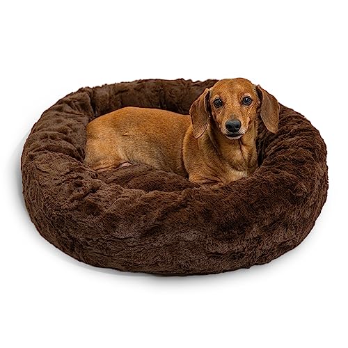 Amazon Best Sellers Best Cat Beds
