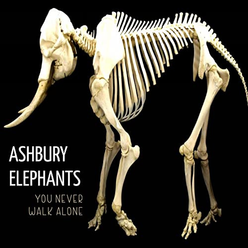 Ashbury Elephants