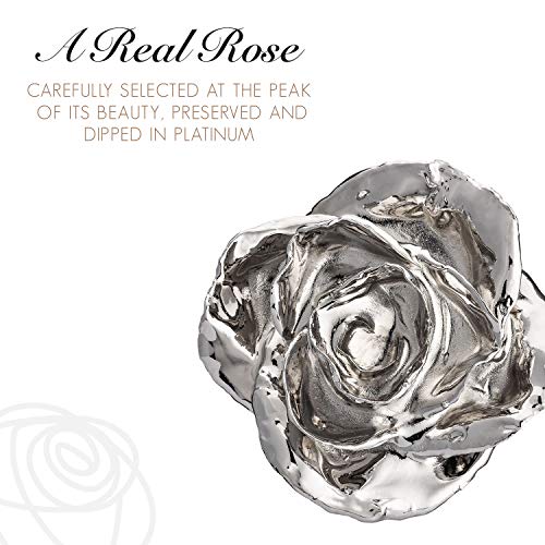 Forever Rose Real Platinum Rose, Genuine One of a Kind Rose Hand Dipped